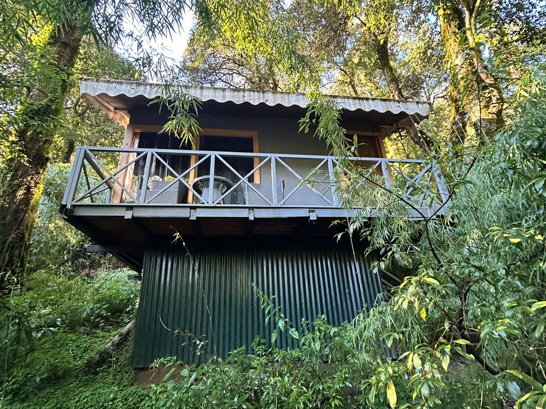 Ayar Jungle Resort主图