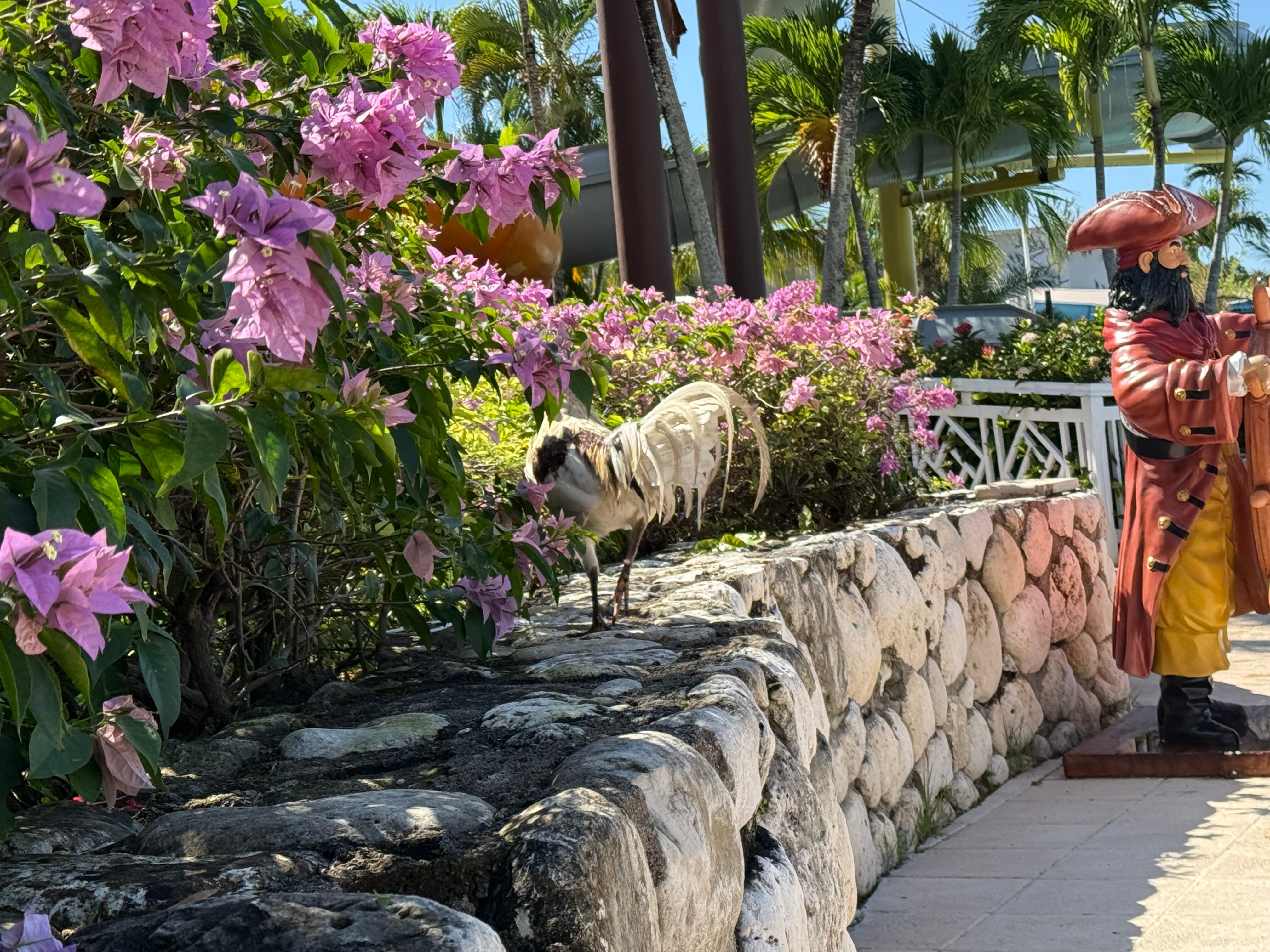 欧丘里欧海滩度假高尔夫俱乐部酒店-浴室