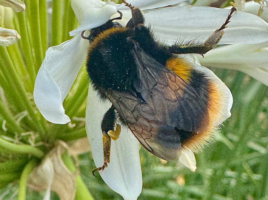 Platypus Walk-Geeveston必去景点