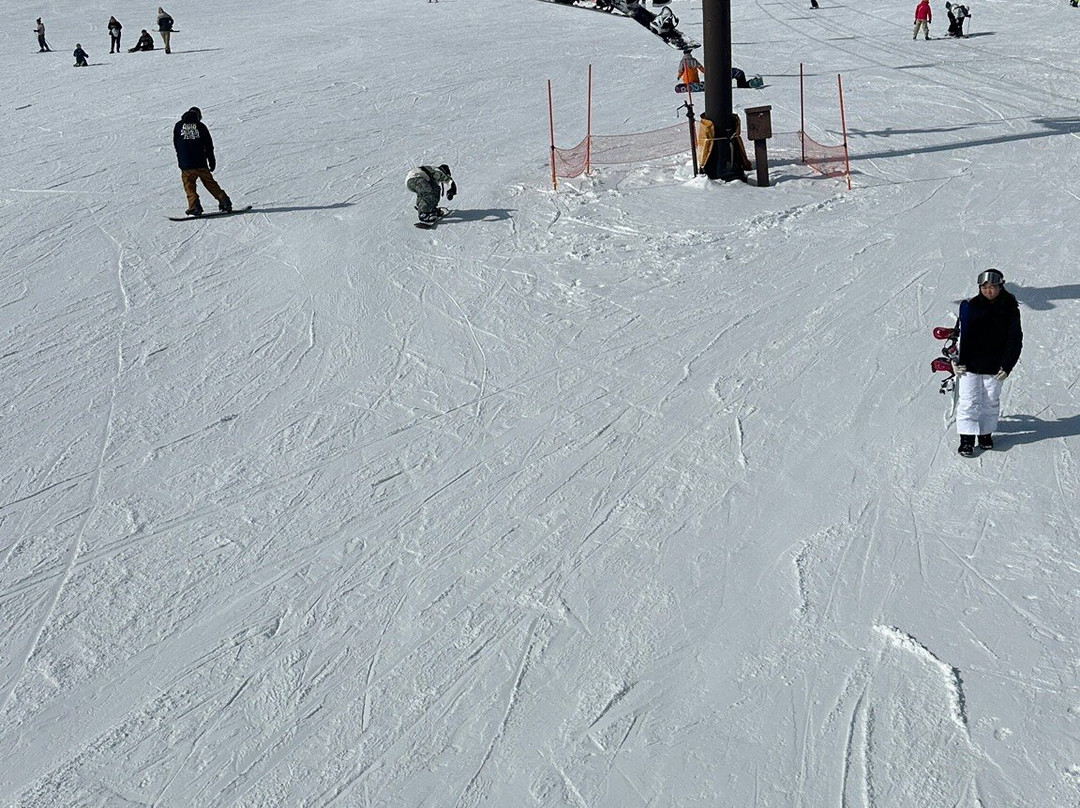 Kusatsu International Ski Place景点图片