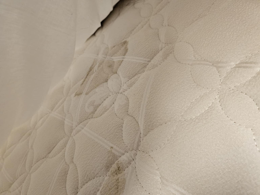 西城汽车旅馆主图