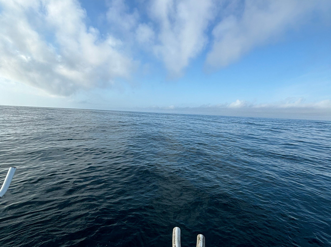 Canaveral Kings Sport Fishing Charters景点图片