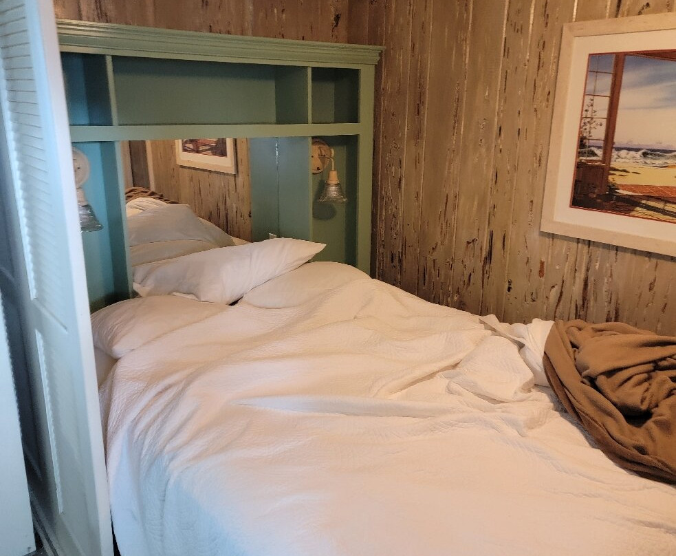 Driftwood Resort主图