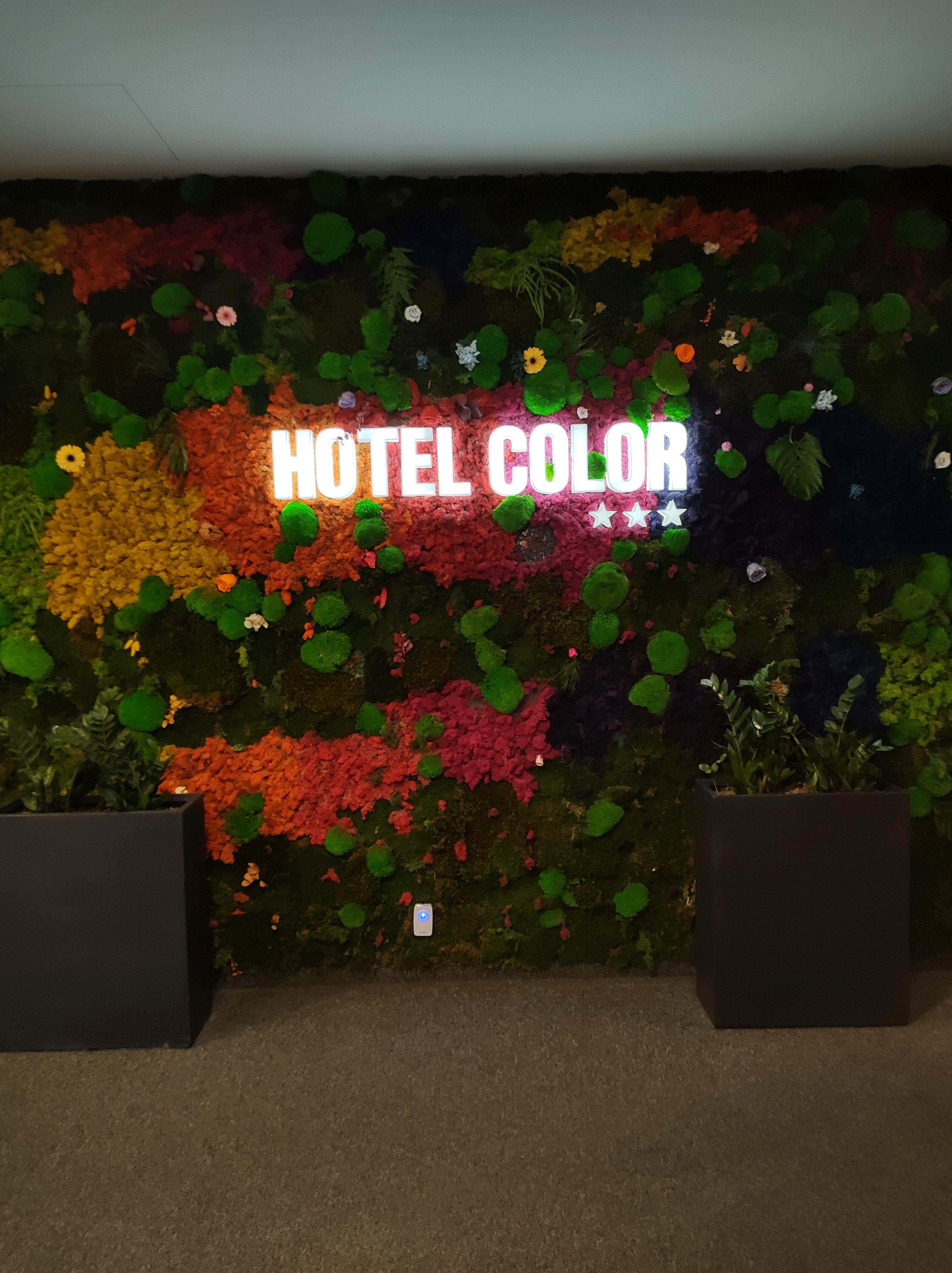 Hotel Color-官方