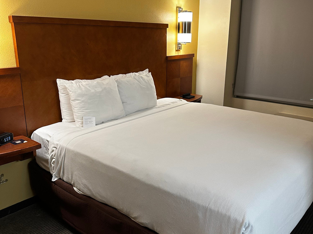 圣地亚哥卡尔斯巴德凯悦广场酒店主图