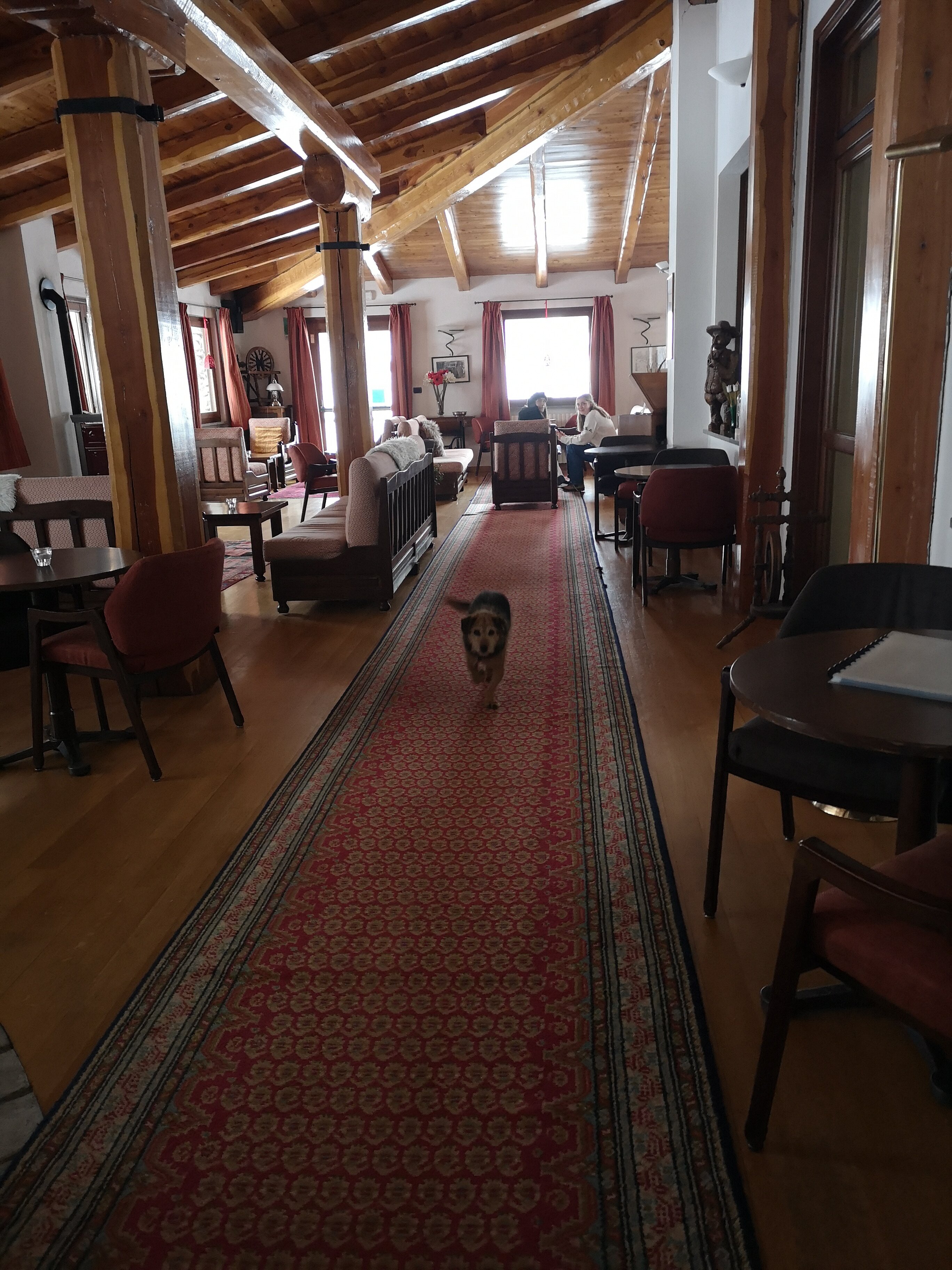 庞克塔酒店-官方