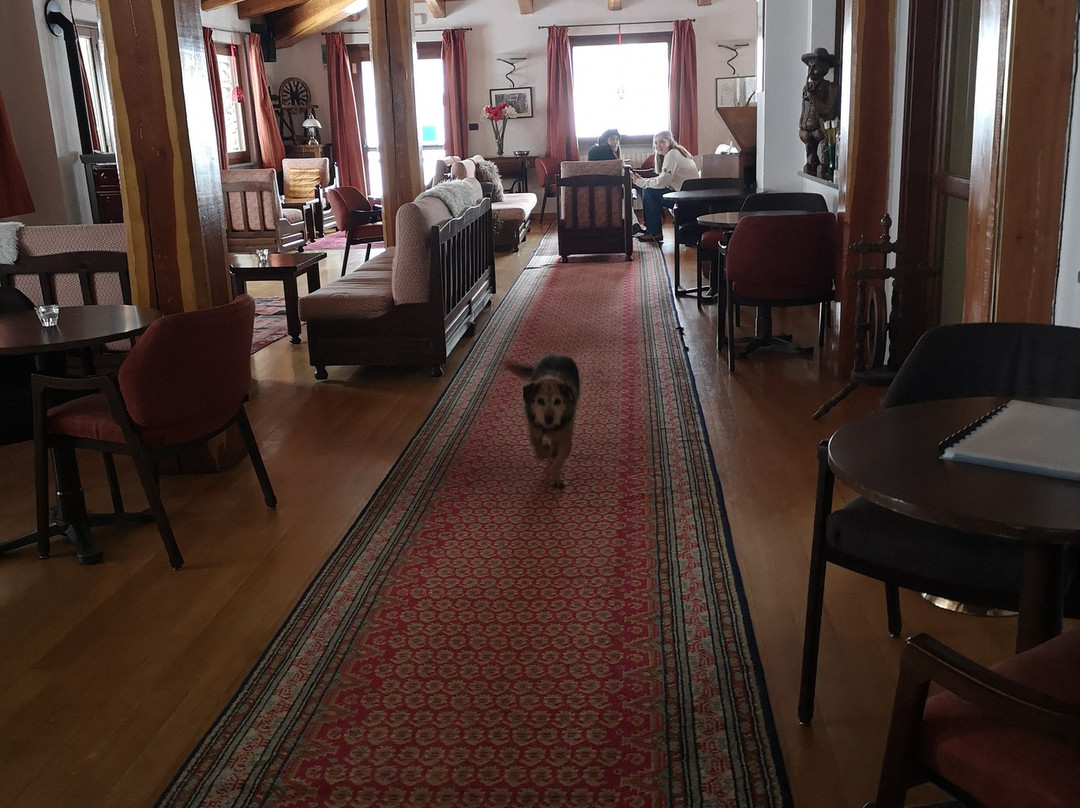 庞克塔酒店主图