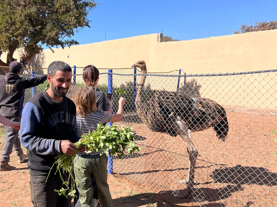 Safari Motors Morocco-阿加迪尔必去景点