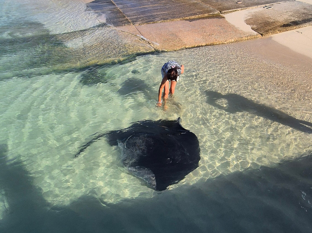 Oceans Boutique Guest House主图