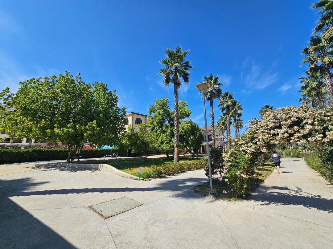 罗莎阿古斯蒂纳会议度假及spa酒店主图