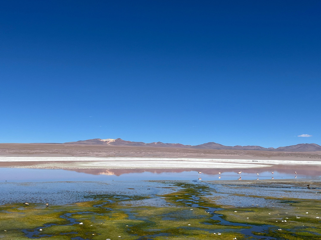 Quilla Wayra Expeditions-圣佩德罗-德阿塔卡马必去景点