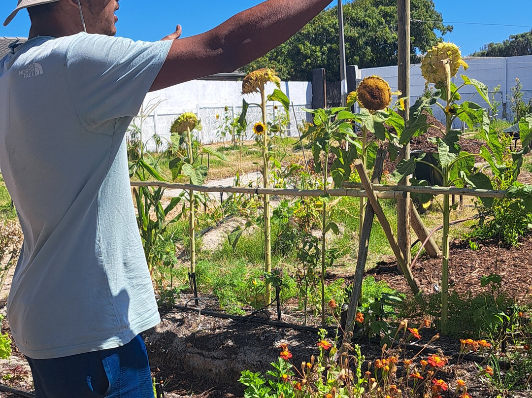 Aunty Nita's Tours-Grassy Park必去景点