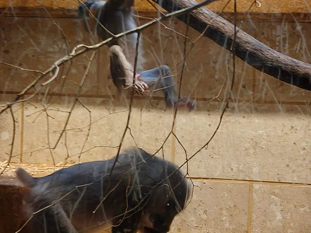 Zoo Wuppertal景点图片