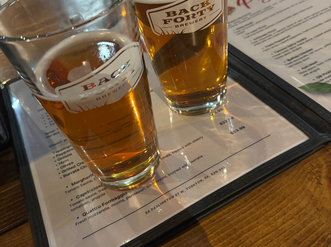 Back Forty Brewery-Yorkton必去景点