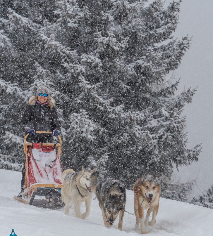 Centro Italiano Sleddog Husky Village-Valdidentro必去景点
