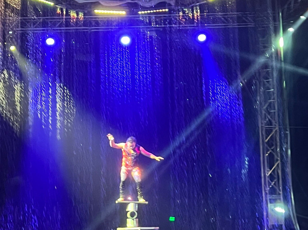 Cirque Italia-萨拉索塔必去景点