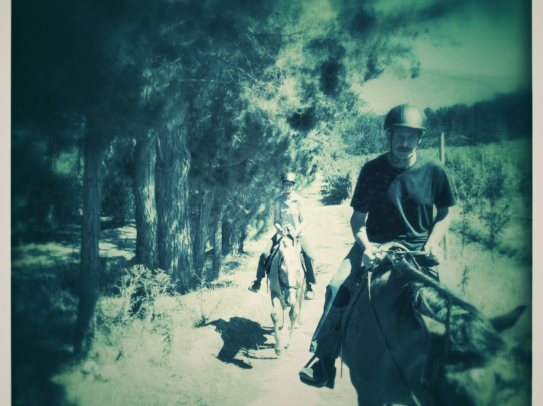 Heaven and Earth Trails-赫曼努斯必去景点