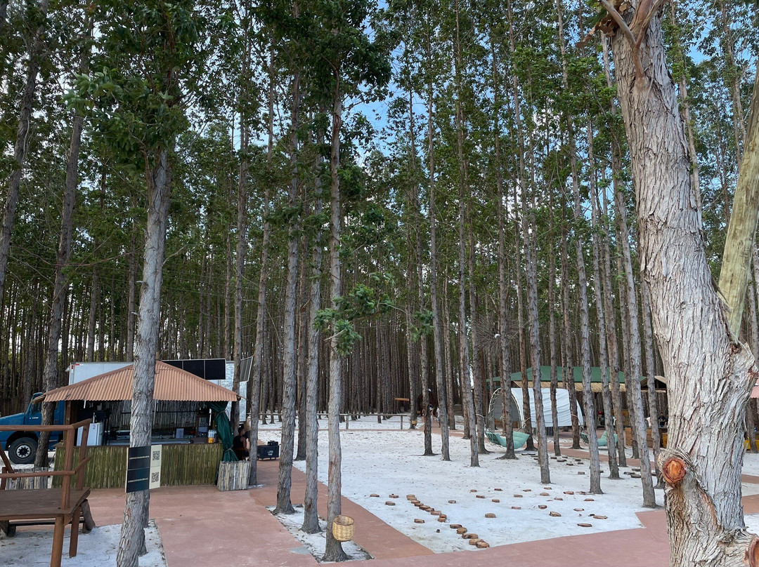 Mirante Da Barra Al景点图片
