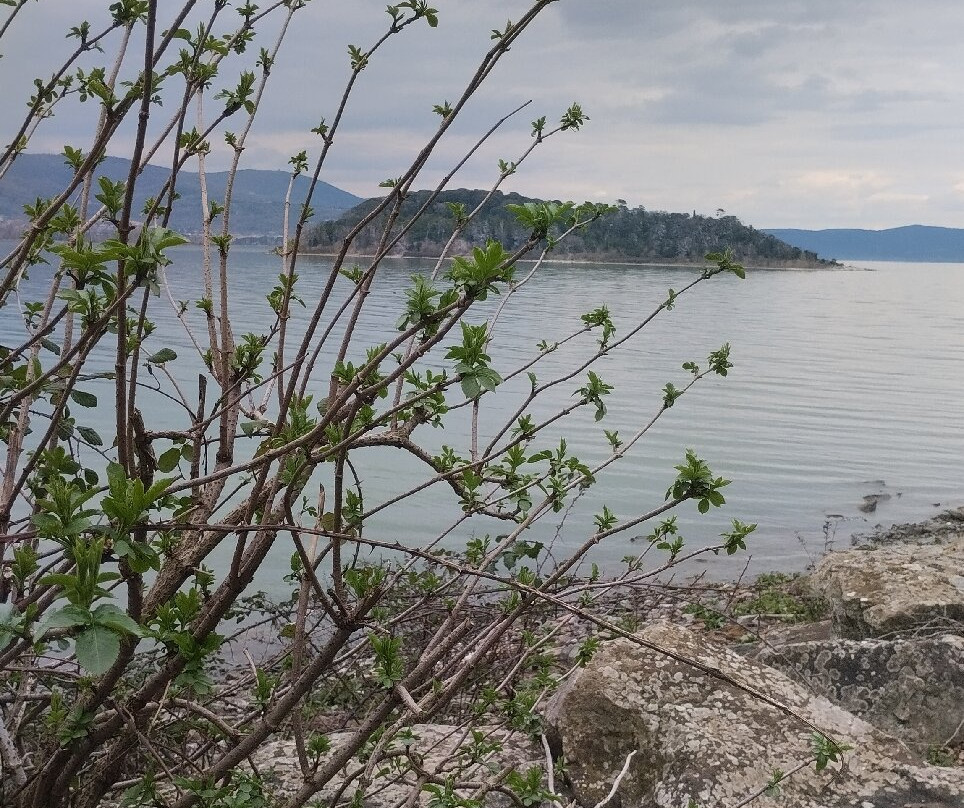 Isola Maggiore-Tuoro sul Trasimeno必去景点