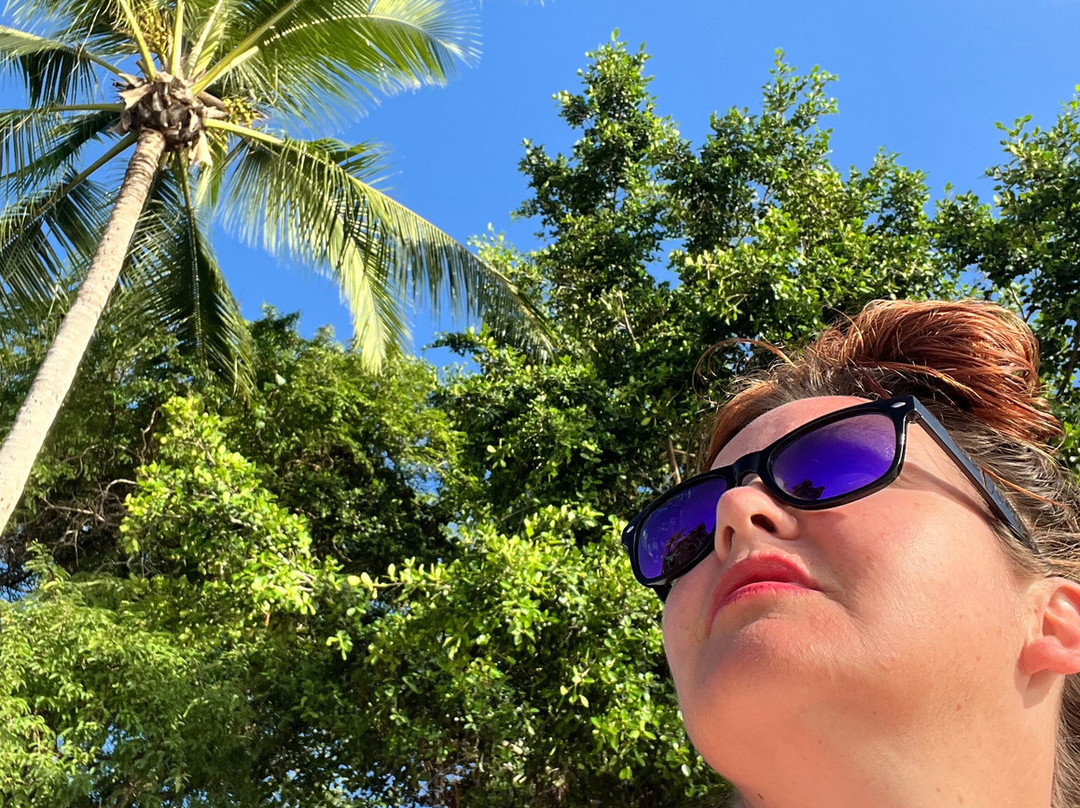 Fitzroy Island National Park景点图片