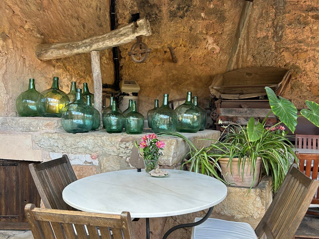 Bodega Ribas景点图片
