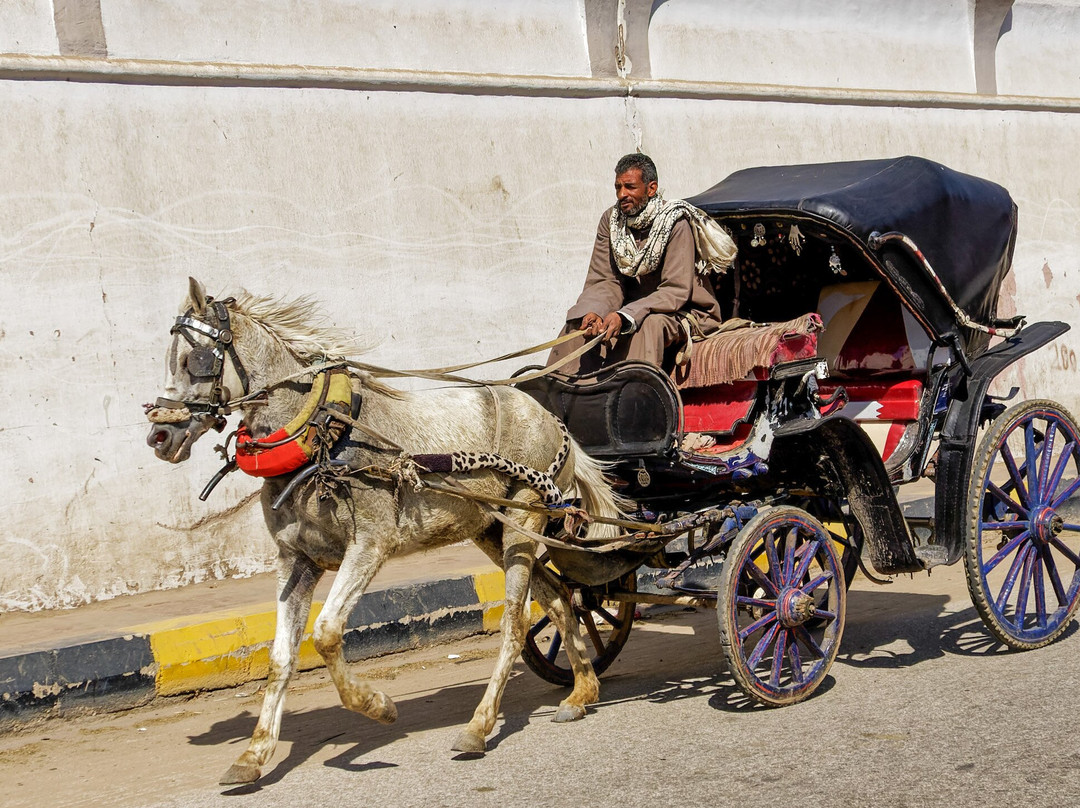 Look at Egypt Tours-吉萨必去景点