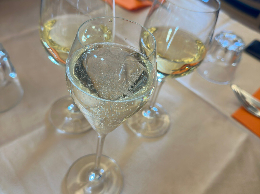 Hotel Ristorante Salyut Centro Congressi主图