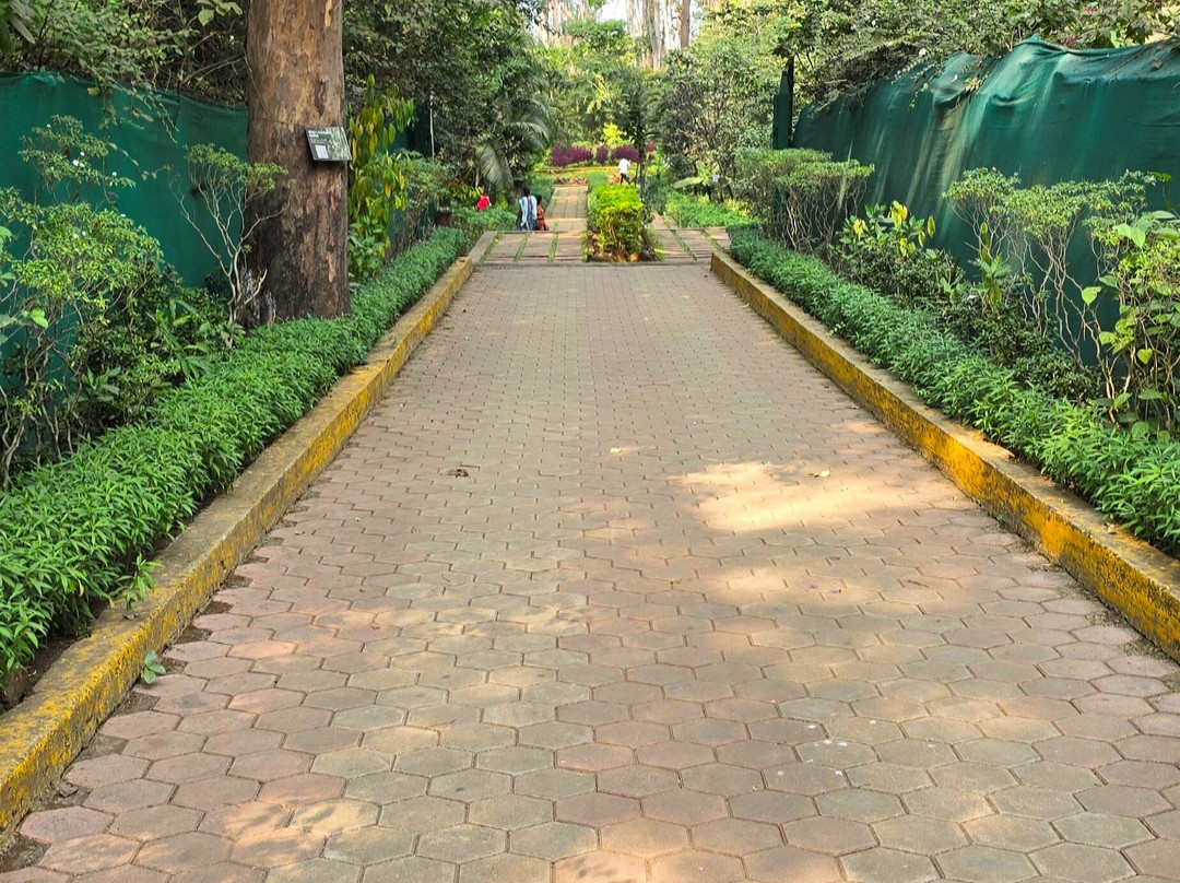 Butterfly Park-Khanvel必去景点