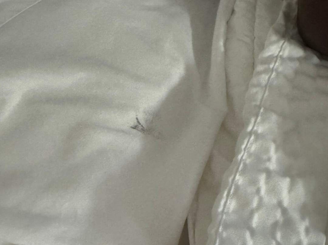 Sleep Inn Sarasota主图