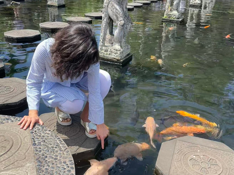 Aries Bali Tour-吉安雅必去景点