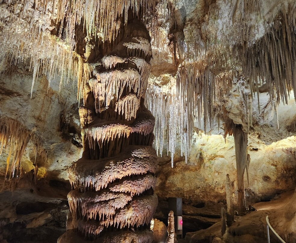 Tantanoola Caves Conservation Park-Tantanoola必去景点