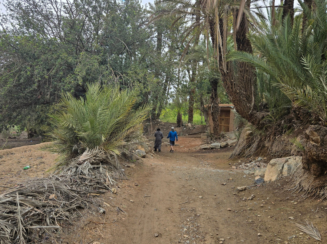 Oasis de Tiout主图