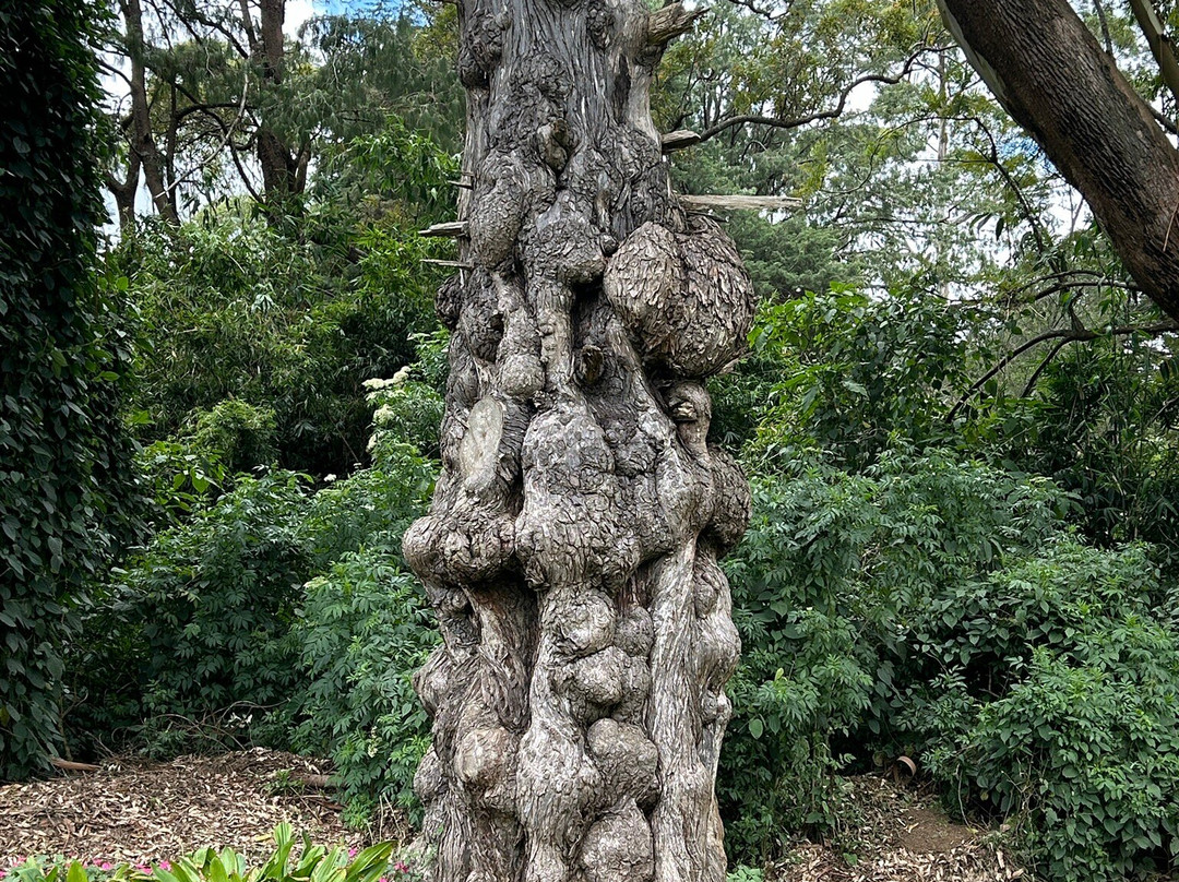 维多利亚公园景点图片