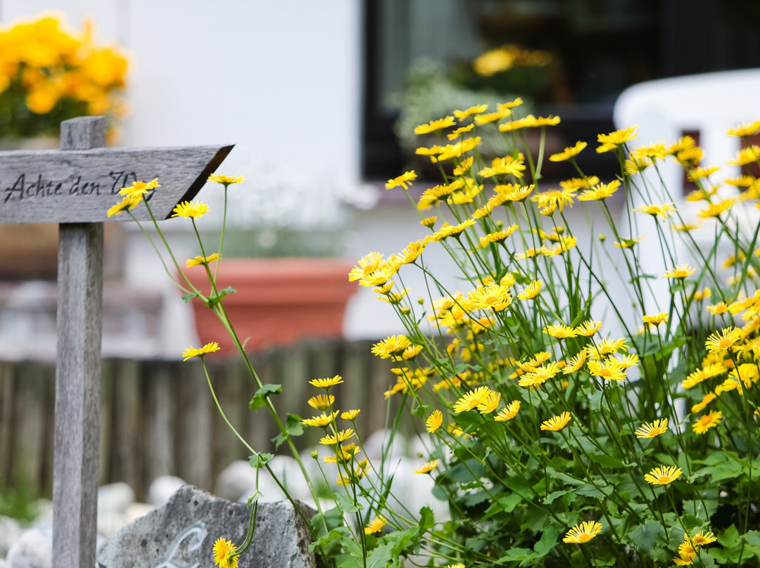 Biohotel Schweitzer主图