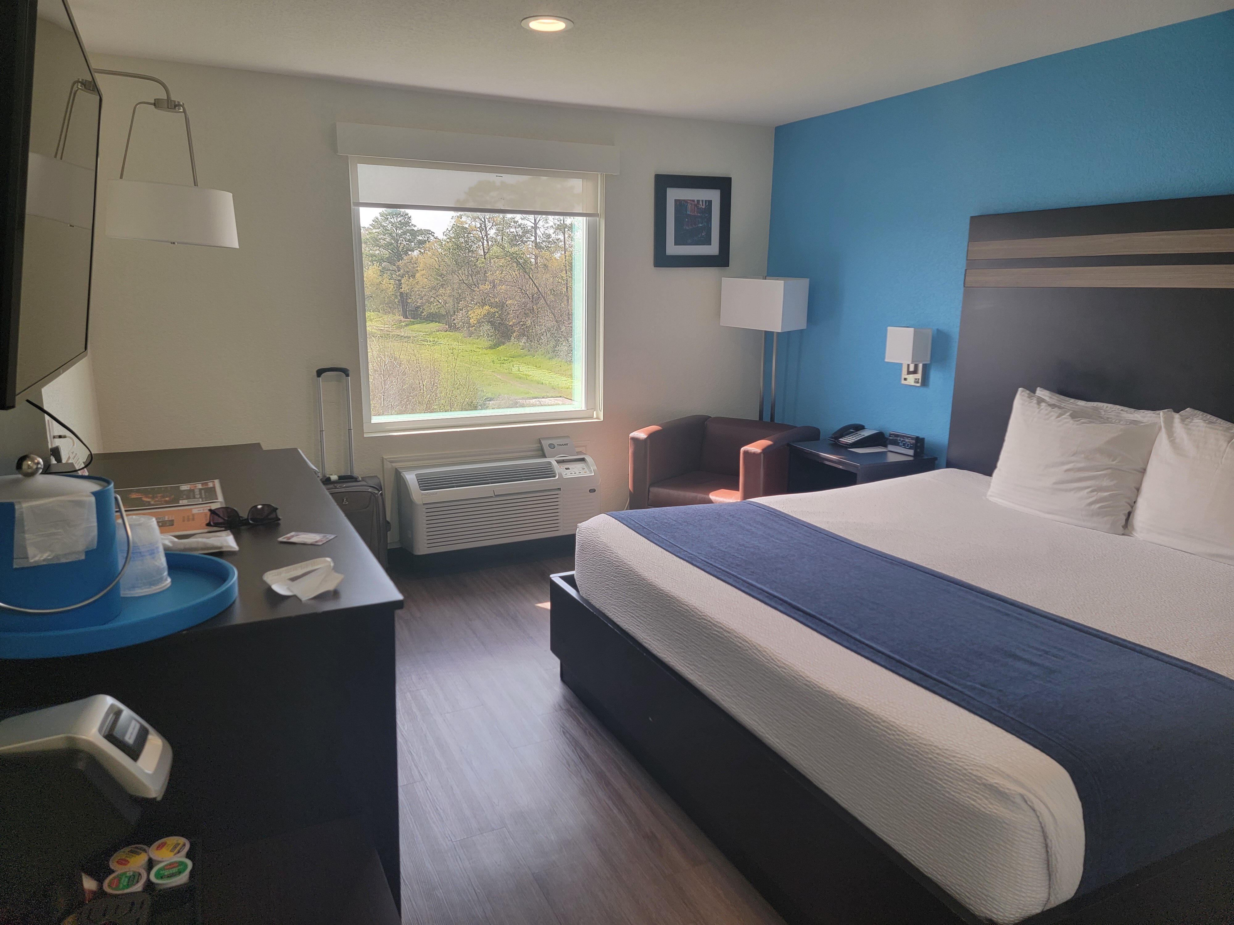SureStay Plus By Best Western Humble-客卧