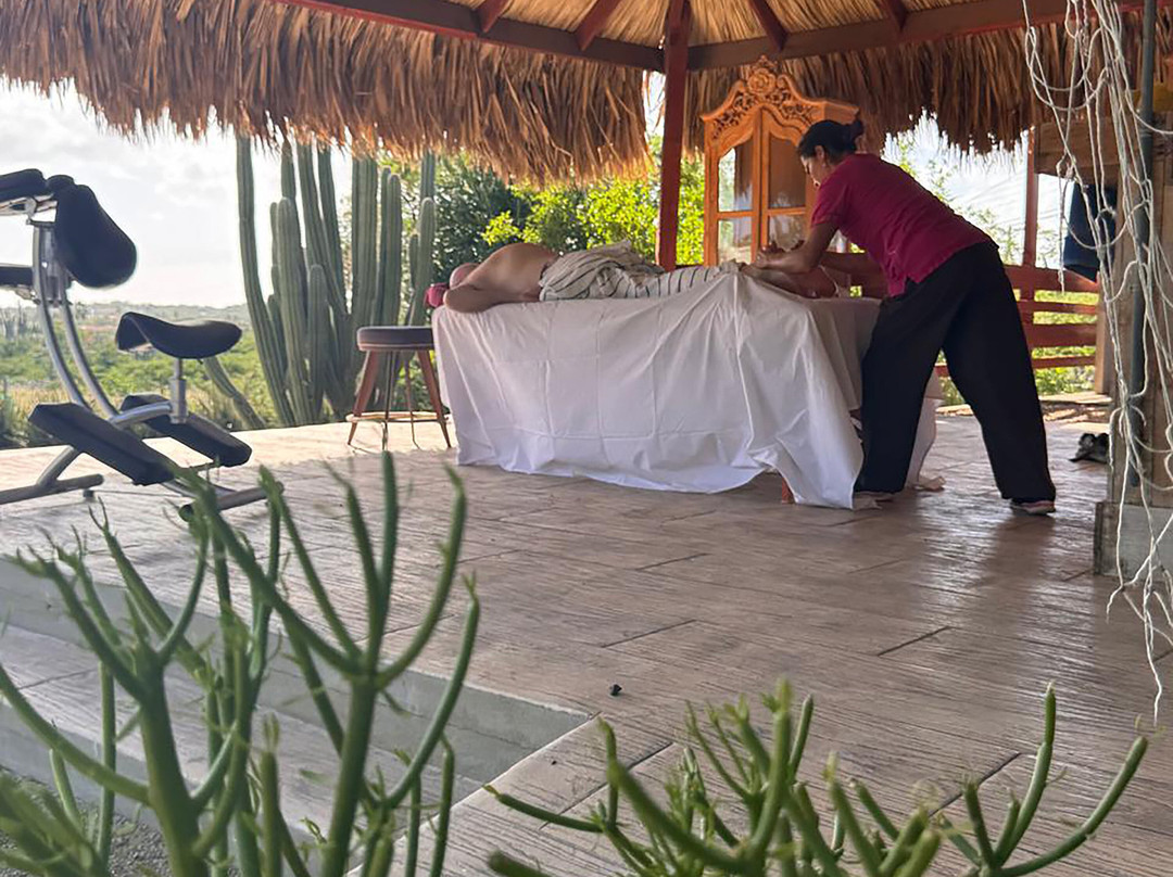 Aruba Casita Spa-Noord必去景点