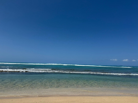 Vieques Concierge-维切克岛必去景点