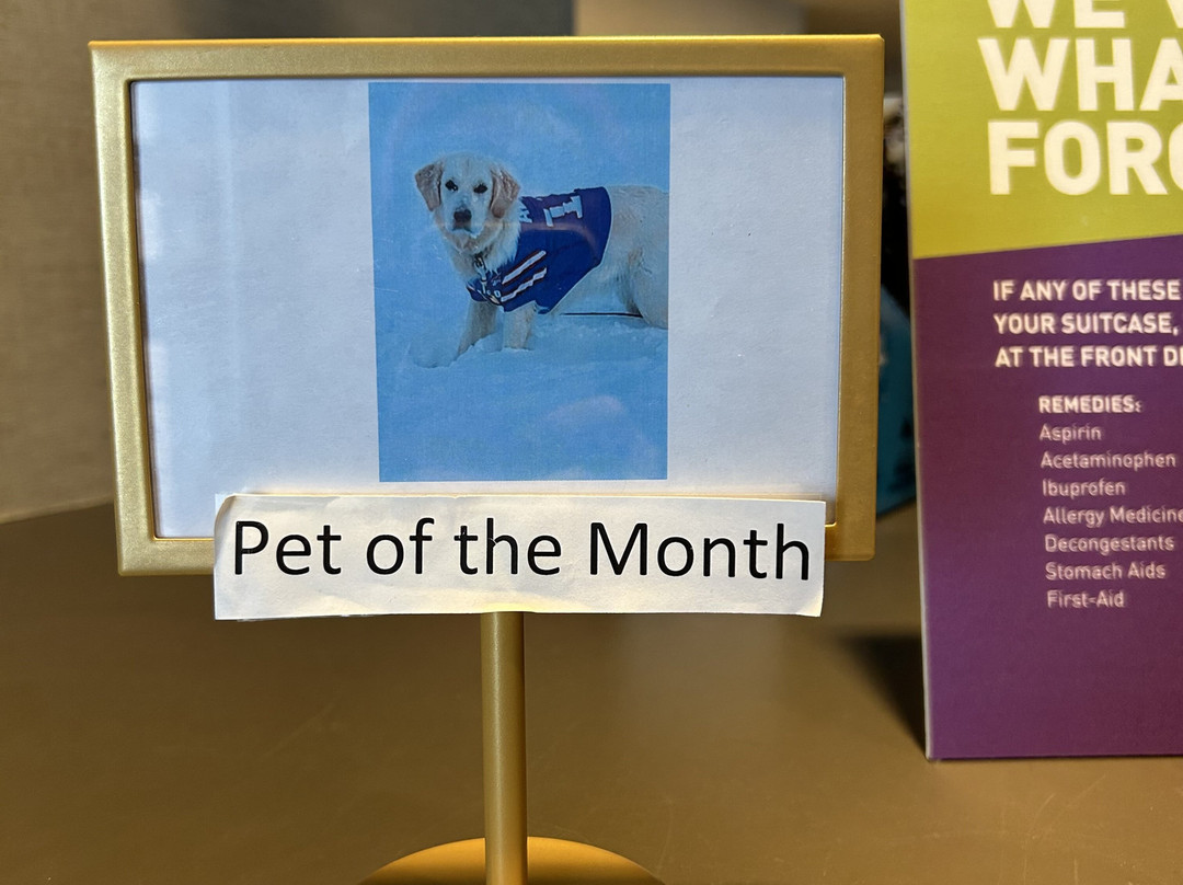 Home2 Suites by Hilton Amherst Buffalo主图