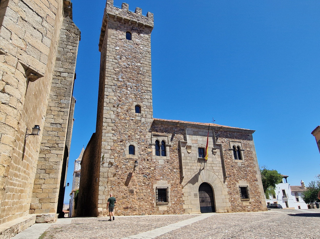 Palace de las Cigüeñas景点图片