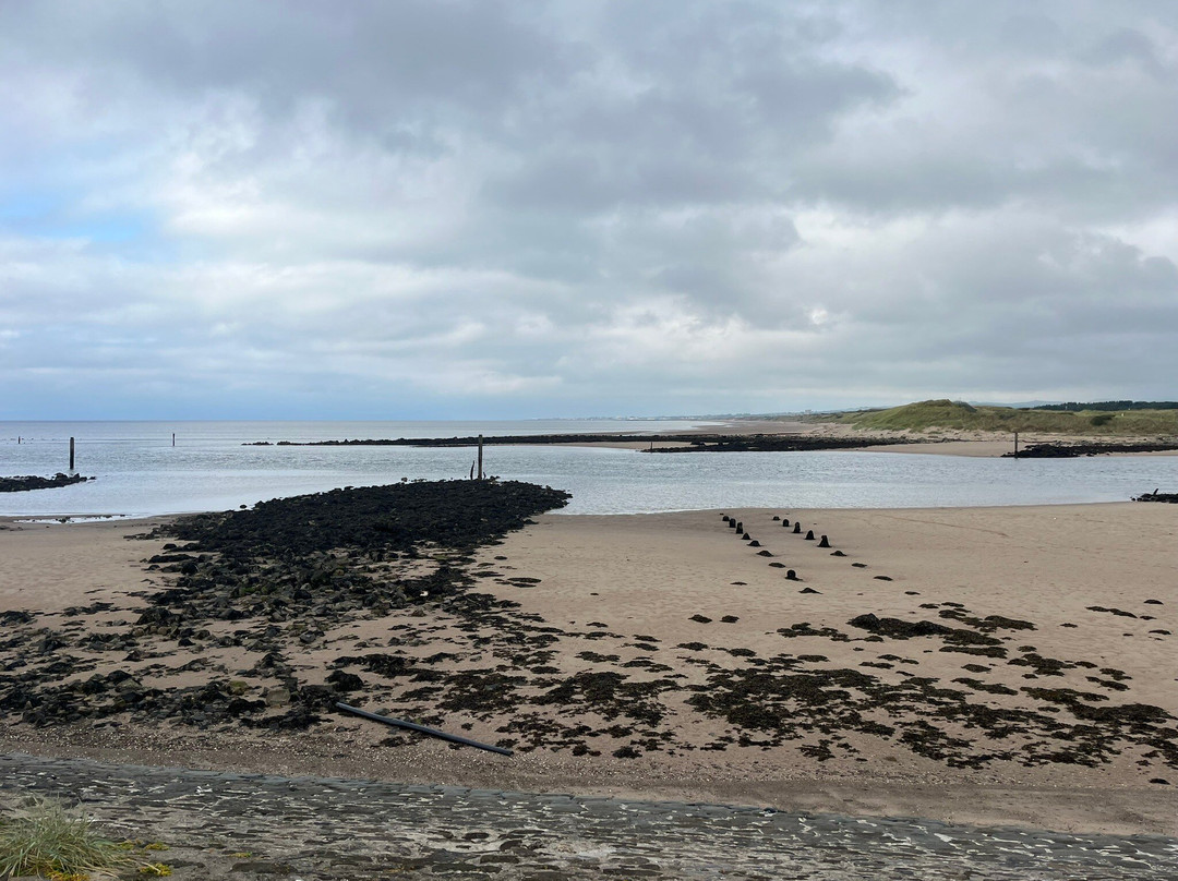 Irvine Beach-Irvine必去景点