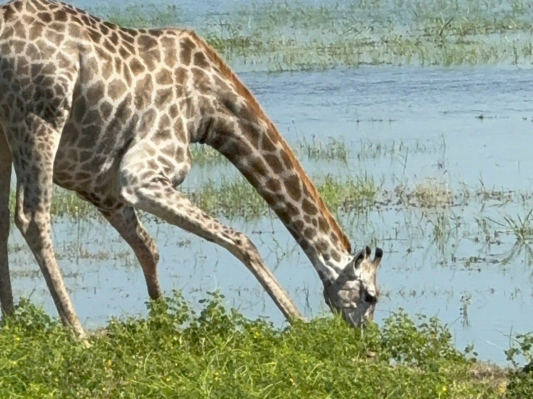 Kalahari Tours-卡萨尼必去景点