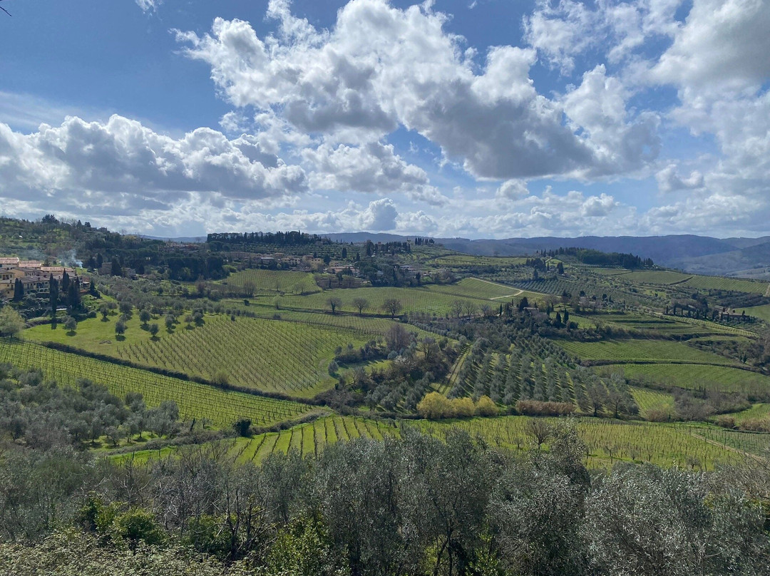 Scenic wine tours in Tuscany-Loro Ciuffenna必去景点