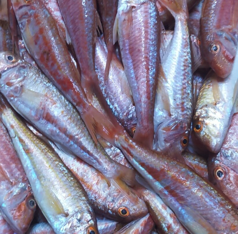 Chioggia Pesca - Mercato Ittico di Chioggia-基奥贾必去景点