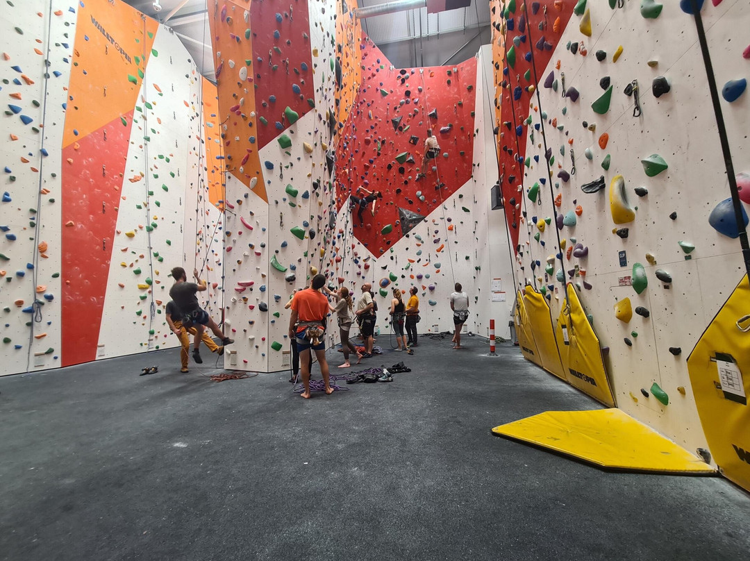 The Arc - The Climbing Academy