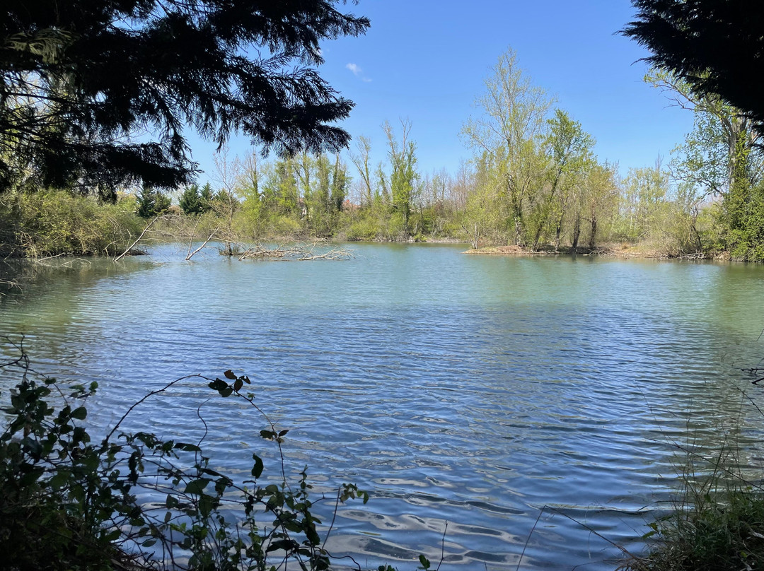 L'evasion - Domaine Lou Verdaï