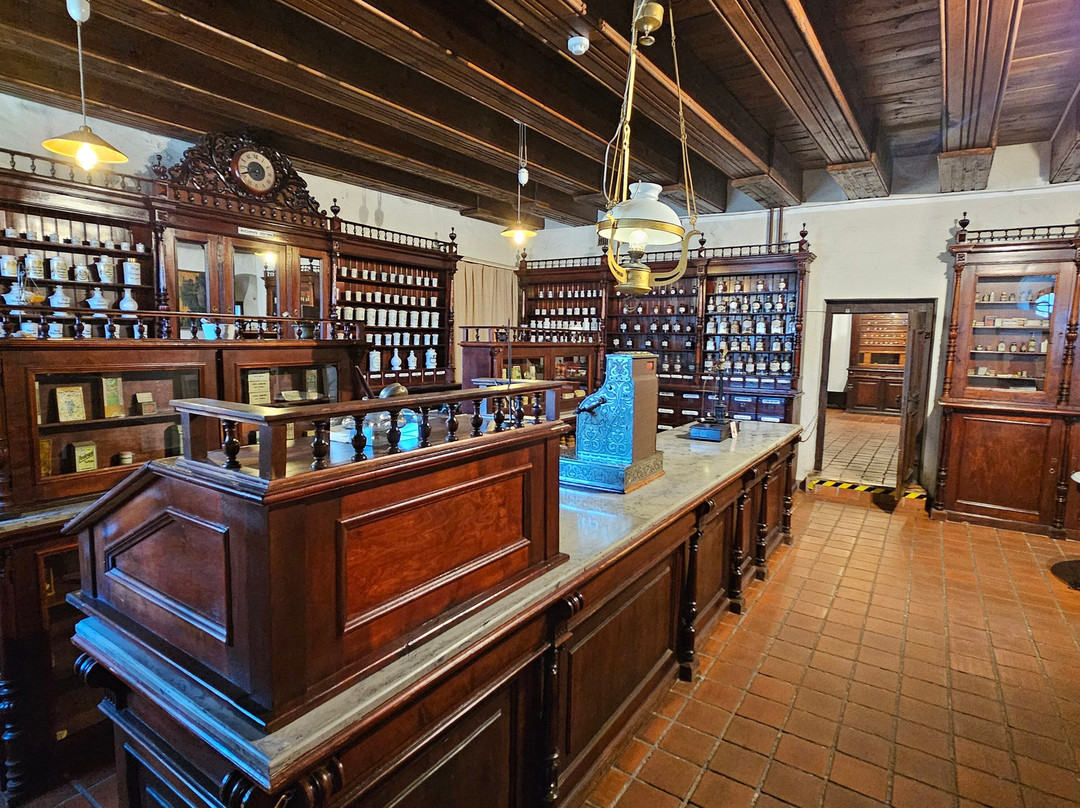 Museum of History of Lithuanian Medicine and Pharmacy-考那斯必去景点