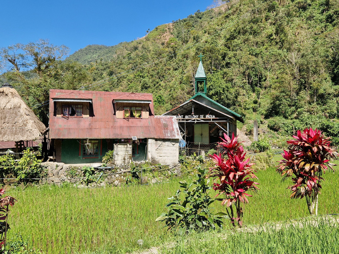 Bangaan Ifugao Rice Terraces景点图片