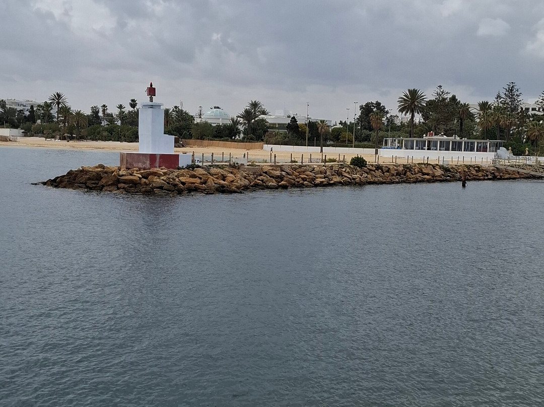 Starboard Harbour Wall-康大维港必去景点