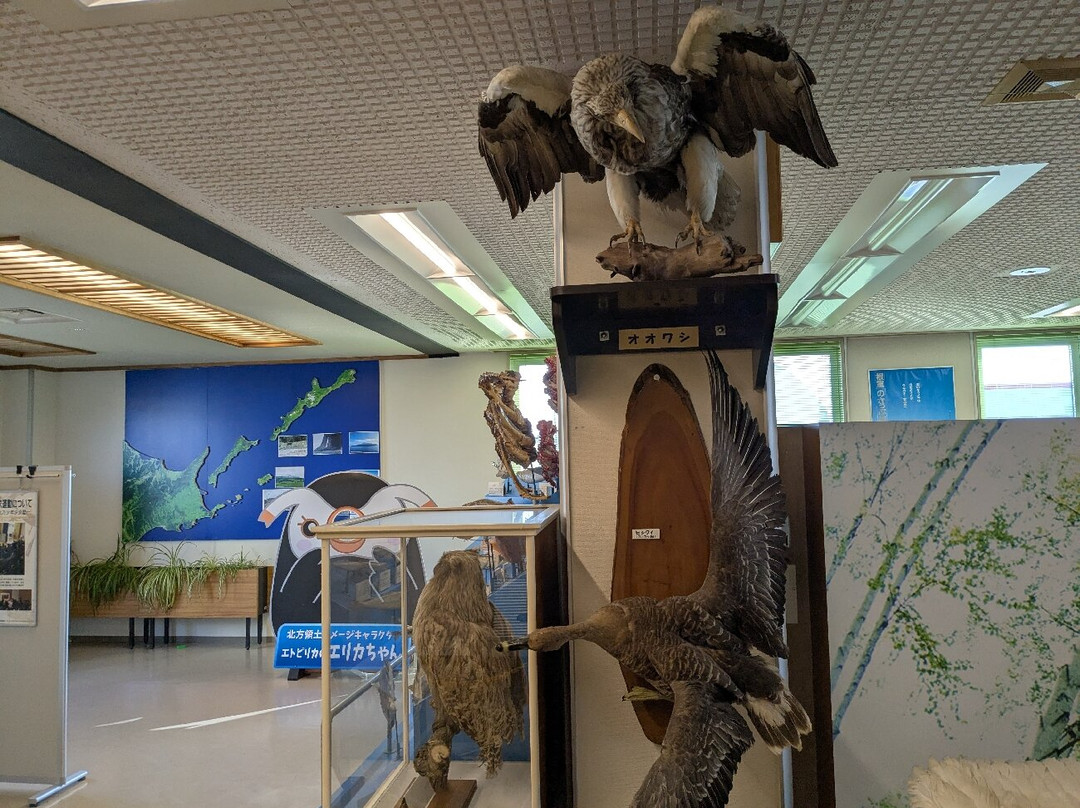 Nemuro City Hoppo Ryodo Museum-根室市必去景点