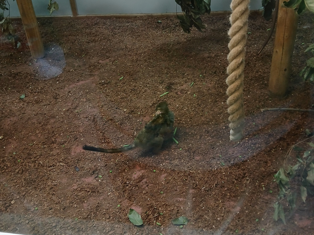 Shaldon Wildlife Trust景点图片